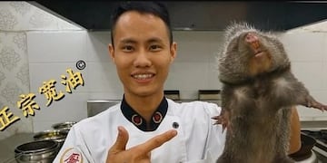 Cómo son las ratas para comer que criaban en China antes del Coronavirus