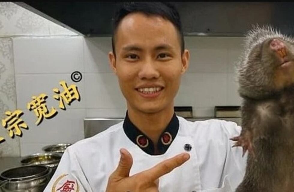 Cómo son las ratas para comer que criaban en China antes del Coronavirus