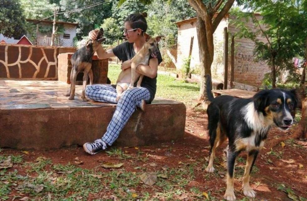 Refugio de animales obereño solicita ayuda económica para solventar gastos durante la cuarentena