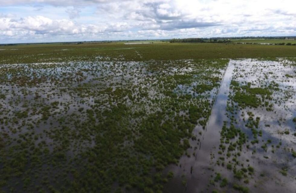 Estiman en U$S 230 millones las pérdidas de ingresos por las inundaciones