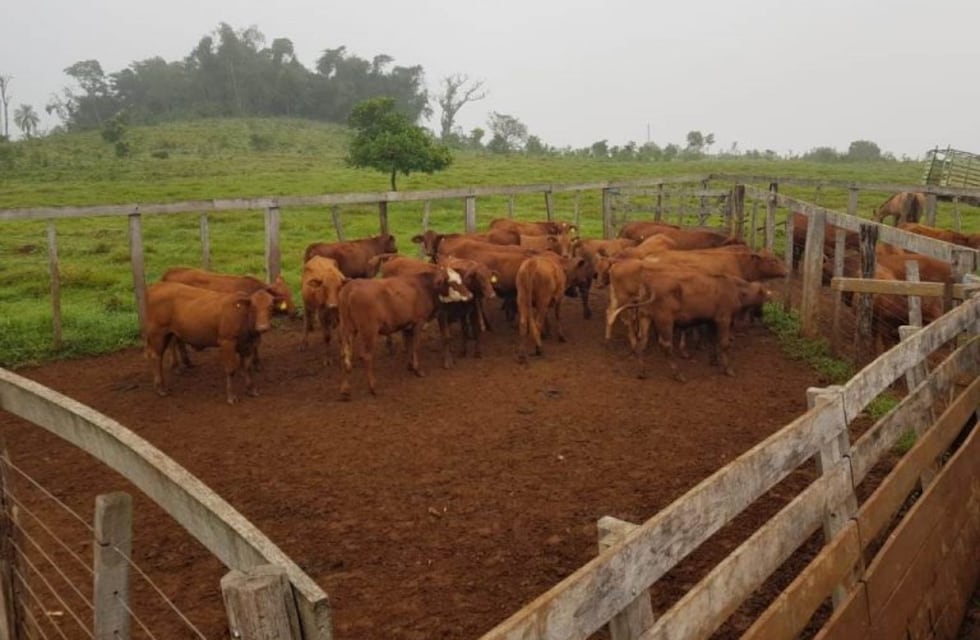 Reclamo de CRA ante las autoridades por el crimen del productor en Liniers