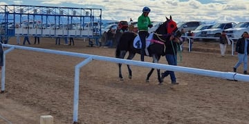 Por primera vez se hará un remate con la prestigiosa firma Tres Haras