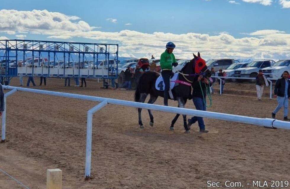 Por primera vez se hará un remate con la prestigiosa firma Tres Haras