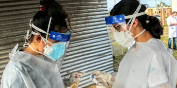 Test coronavirus Chaco