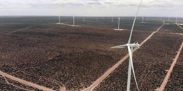 jaramillo parque eólico