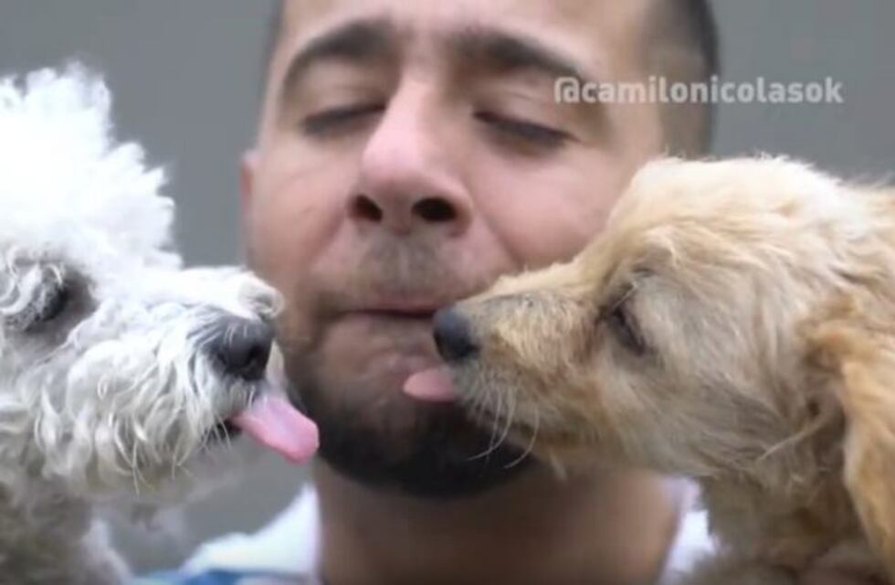 El vídeo de aliento de Camilo Nicolás, hincha "perro" de la Selección