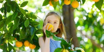 Llegó la hora de los frutales