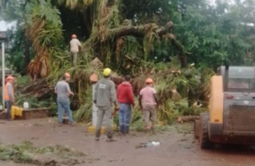 Graves destrozos en Eldorado tras el paso de la tormenta