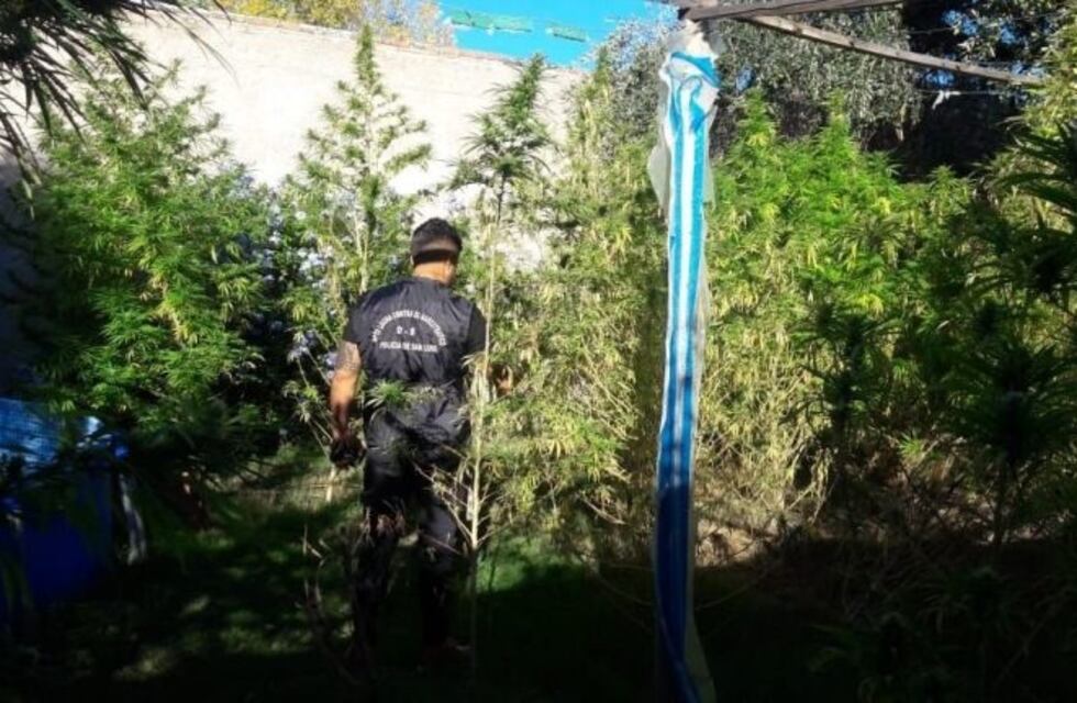 Dos estudiantes de medicina cayeron presas por vender marihuana