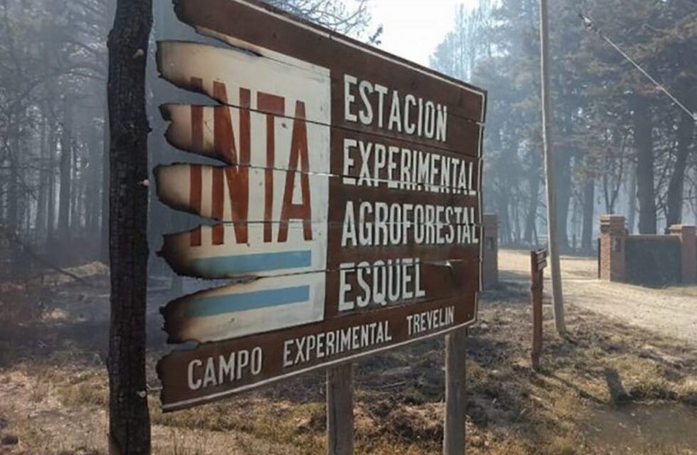 El incendió en Aldea Escolar cruzó la ruta y afectó viviendas