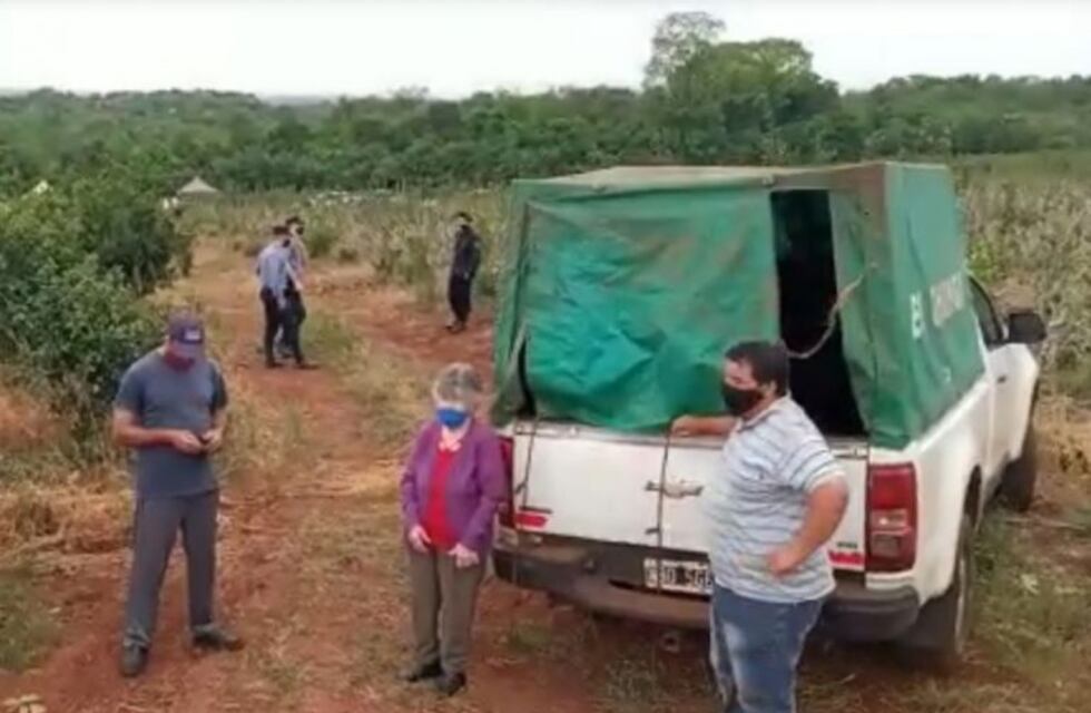 Le restituyeron las tierras a la jubilada de Itacaruaré