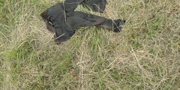 Encontraron una cabeza colgando de un árbol en un predio de quintas\u002E