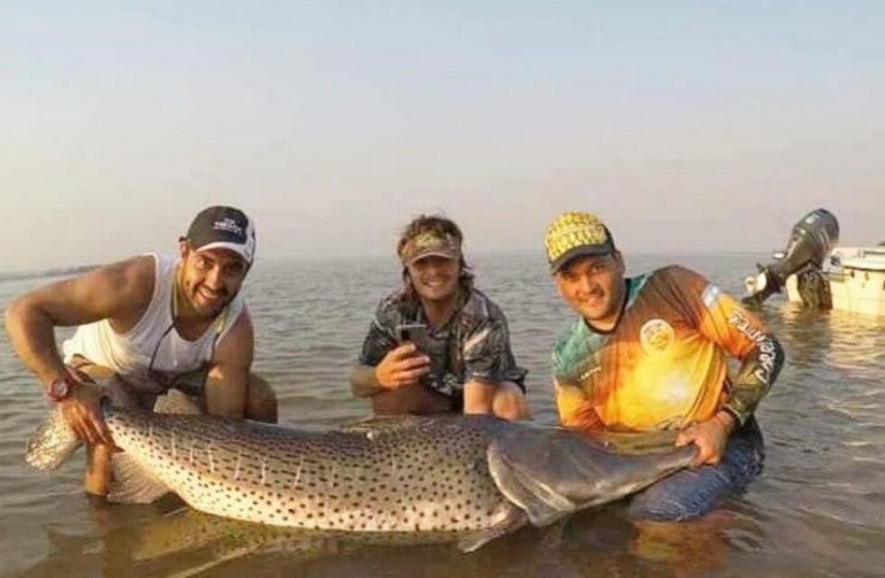 Lograron pescar un surubí de 70 kilos