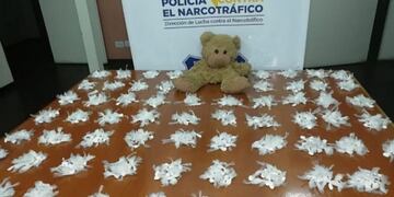 peluche con cocaína mendoza