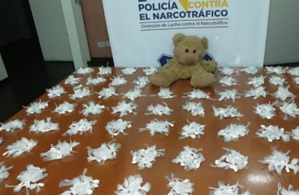 Encontraron más de 1.800 dosis de cocaína en un oso de peluche