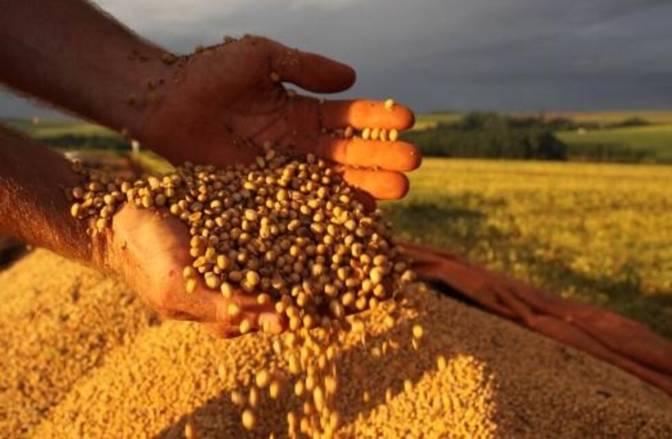Cuánto pierde cada municipio de Santa Fe por la quita del fondo sojero