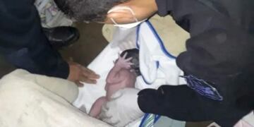 Poliparteros sanjuaninos\u002E