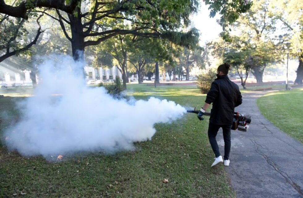 Son 1102 los casos confirmados de dengue en Rosario