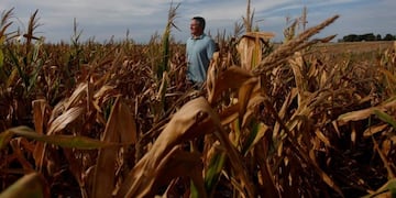 US$ 1\u002E550 millones corresponden a las pérdidas directas al sector productor