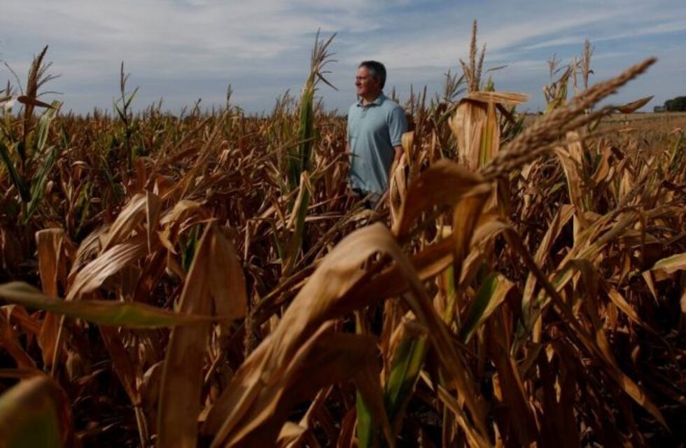 El cambio climático que afecta a la economía argentina