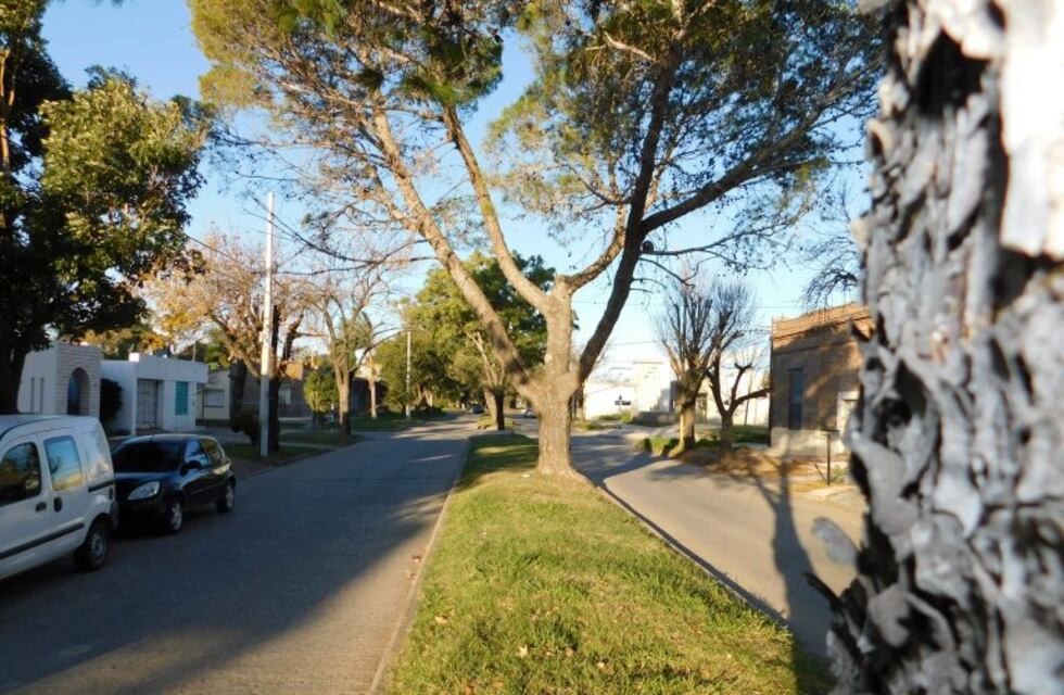 Domingo frío en San Francisco