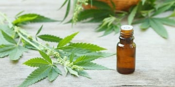 Una obra social deberá proveer aceite de cannabis a un niño de El Bolsón