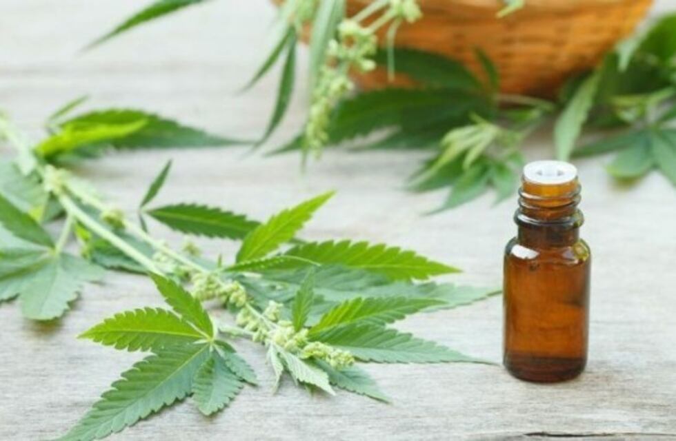 La Justicia ordenó brindar cobertura integral de aceite de cannabis a una menor con epilepsia