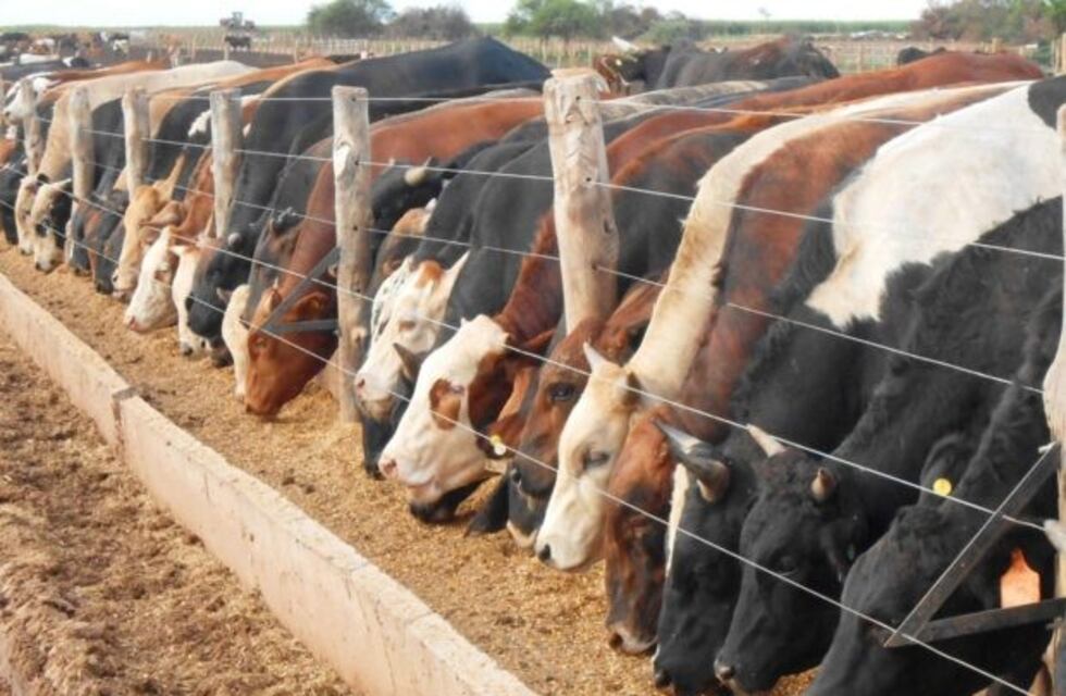 Se realiza en Salta el taller "Ganadería y Cambio Climático"