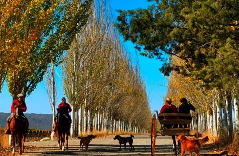 Viví Francia en Mendoza: toda la cultura gala en un solo evento