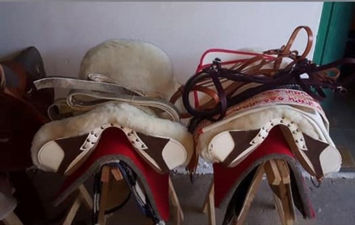 Recuperan las monturas chilenas robadas en Arroyito