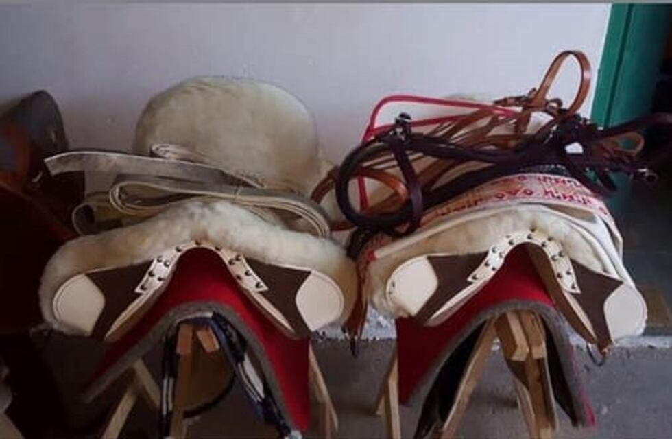 Recuperaron tres monturas chilenas robadas al Espacio Tres Aires