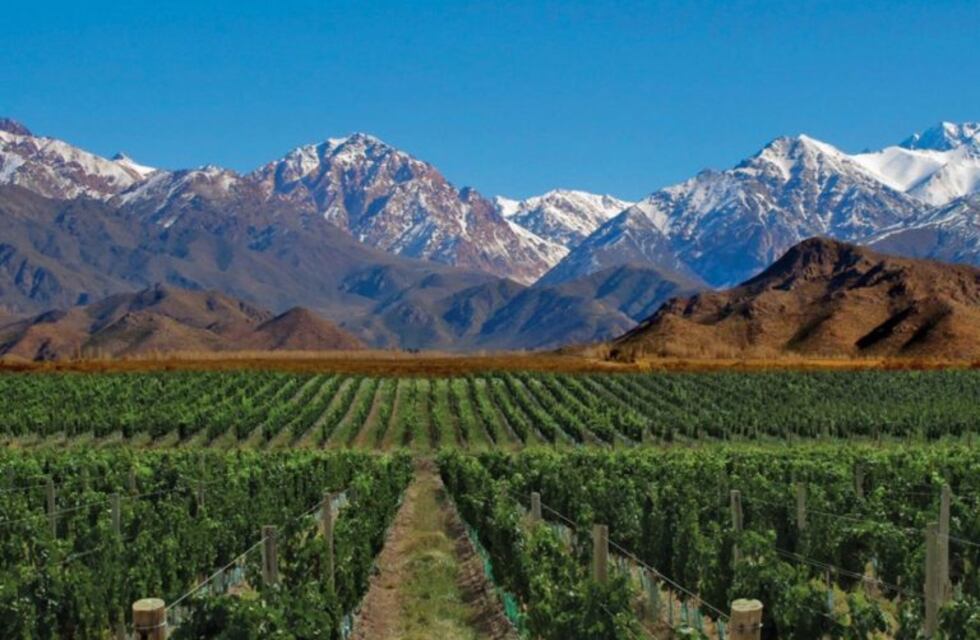 La mejora de reintegros dejará $1.900 millones a la vitivinicultura