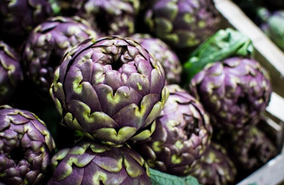 El poder de los alcauciles: recetas saludables, nutritivas y en simples pasos