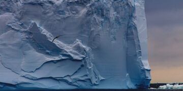 iceberg Georgias.