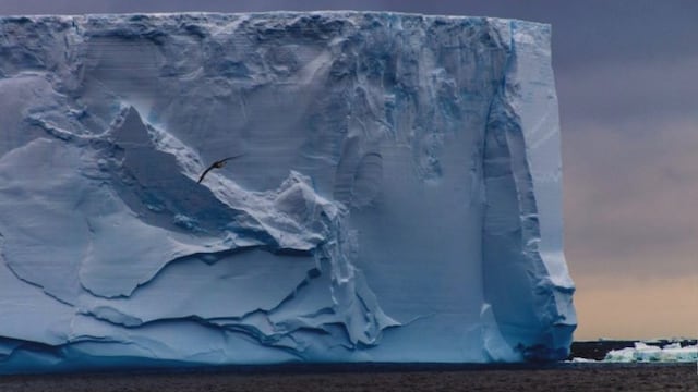 iceberg Georgias.