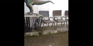 El perrito ladrando al enorme dinosaurio de juguete\u002E
