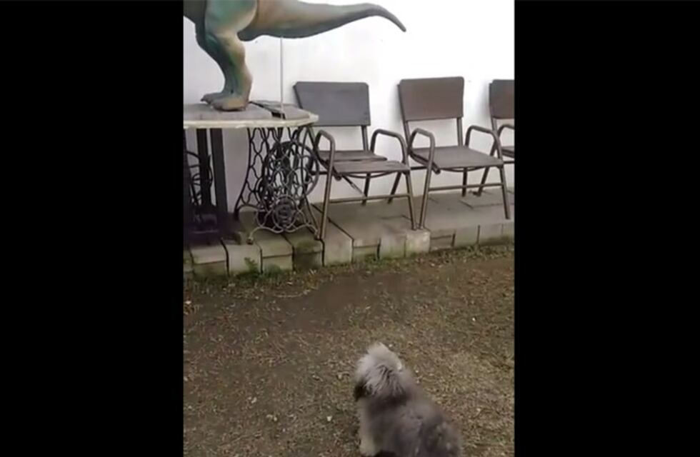 Encarnizada batalla entre un perrito y un dinosaurio