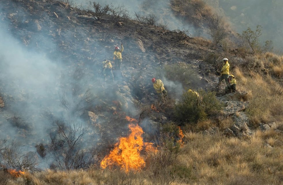 Ola de calor: alerta extrema ante la posibilidad de incendios forestales