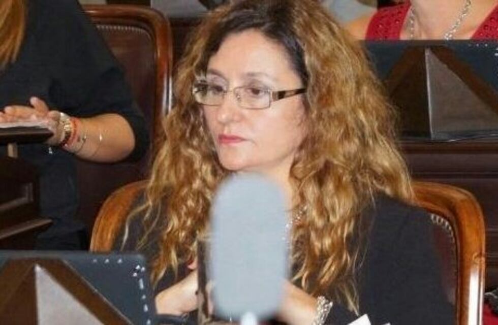 Presentaron proyecto para declarar la emergencia provincial