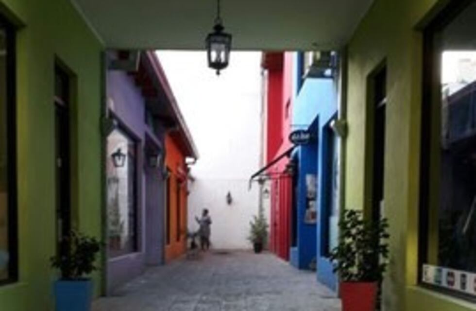 Se hicieron un festín: delincuentes ingresaron a una galería cuando estaba cerrada y se llevaron de todo