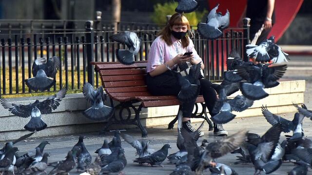 La Municipalidad realizará un control de plagas. (Facundo Luque)