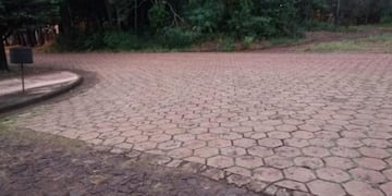 Además de los gatos, en los últimos días murió un perro envenenado\u002E