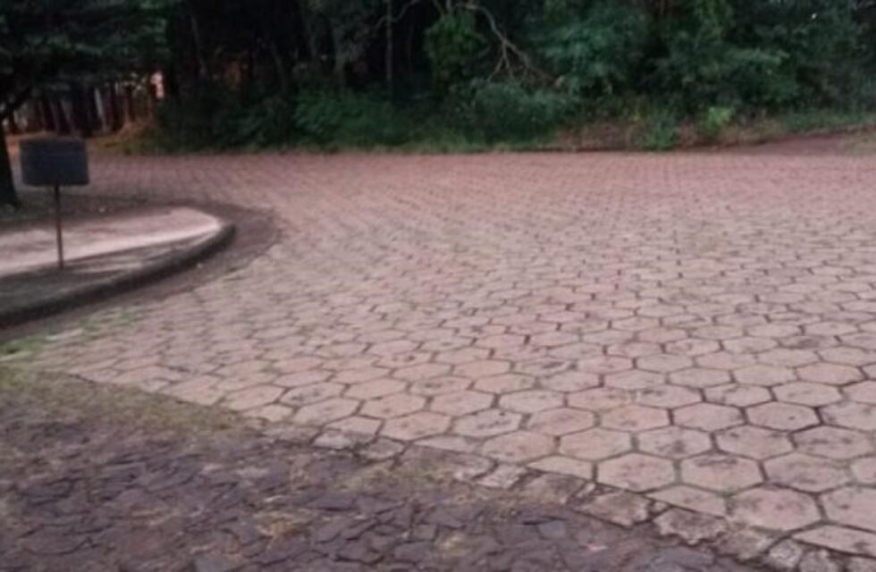 Denuncian que un vecino envenena y mata animales en el barrio San Miguel