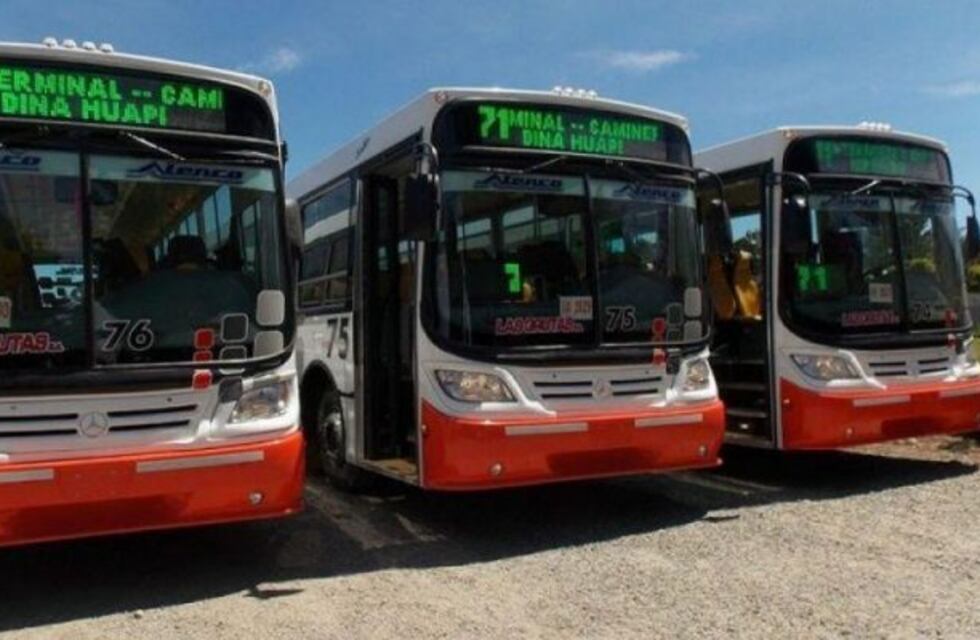 Continúa el paro de colectivos en Dina Huapi