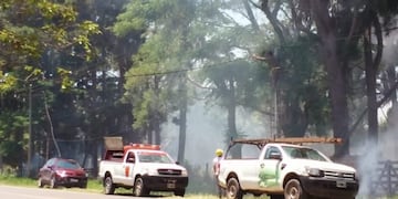 Quema de pastizales por el cortocircuito provocado por un mono\u002E