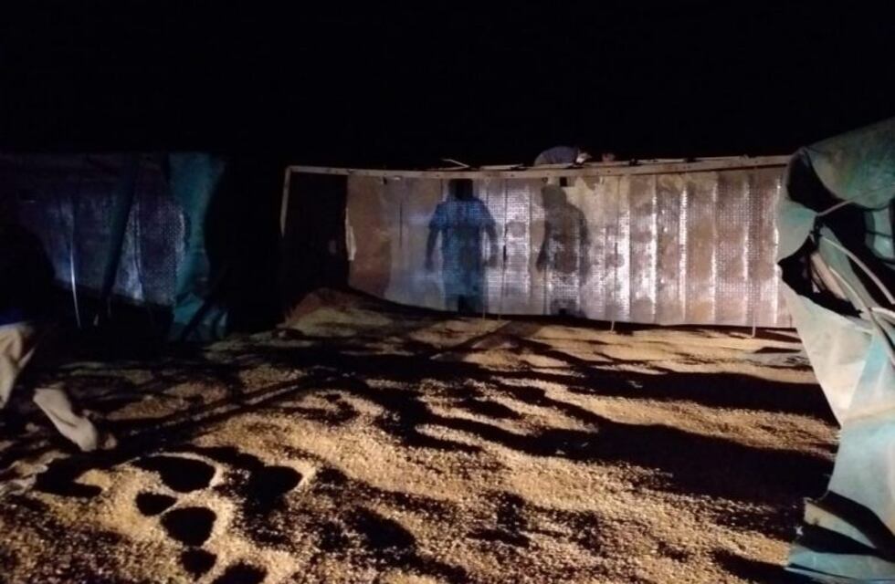 Volcó un camión con cereal en la ruta 228