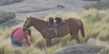 Así fue la secuencia del incendio intencional registrada por el fotógrafo cordobés Claudio Fogliatti\u002E