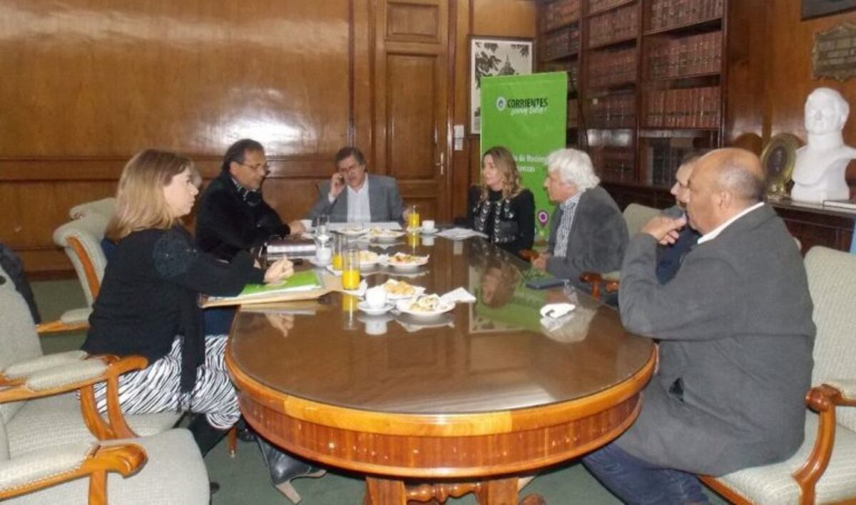 Avanza el proyecto de construcción de un hospital neonatal en Corrientes\u002E (Foto: @lis_sprovieri)