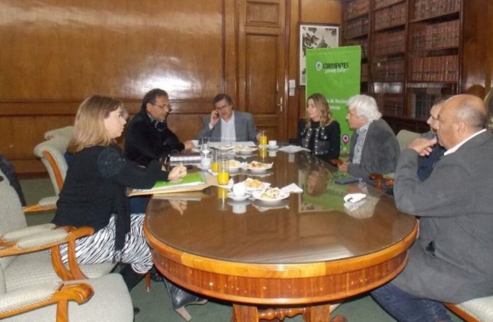 Avanza el proyecto para construir un hospital neonatal en la ciudad de Corrientes