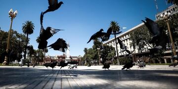 (Foto: EFE/ Juan Ignacio Roncoroni)